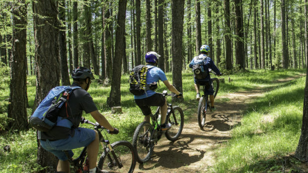 Ecole VTT MCF P (8)
